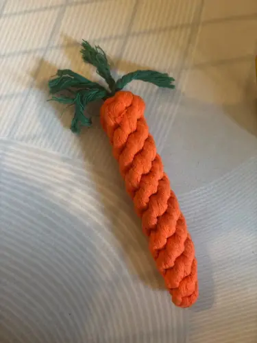 Pet Toy photo review