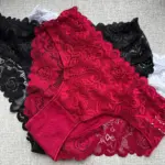 10 piece special price sexy lace and lace underwear with high elasticity, low waist, breathable, soft, flat angle triangle underwear for women photo review