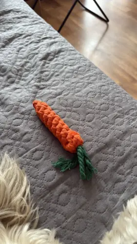 Pet Toy photo review