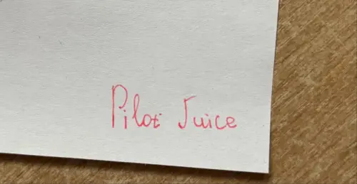 50 adorable blind box pens in a pencil case, 0.5mm black water-based ballpoint pens, non-drying, suitable for exams and studying photo review