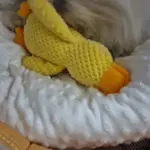 Dog Plush Toys photo review