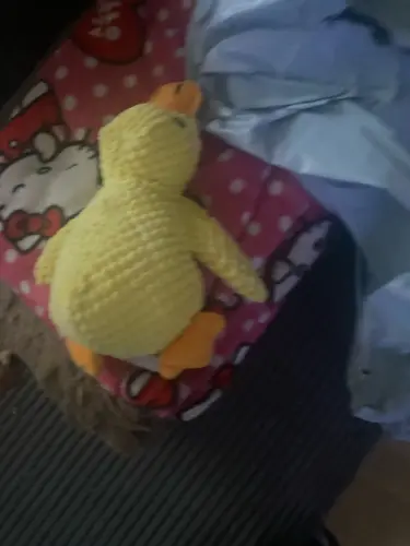 Dog Plush Toys photo review