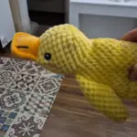 Dog Plush Toys photo review