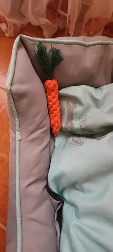 Pet Toy photo review