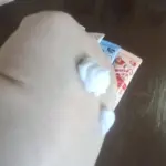 Hand Cream with Ice Cream, Snowflakes, Fruits, Strawberry, and Peach photo review