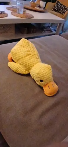 Dog Plush Toys photo review