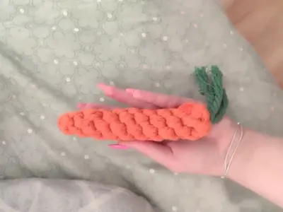 Pet Toy photo review