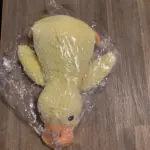 Dog Plush Toys photo review