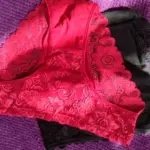 10 piece special price sexy lace and lace underwear with high elasticity, low waist, breathable, soft, flat angle triangle underwear for women photo review