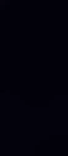 Pet Clothing photo review