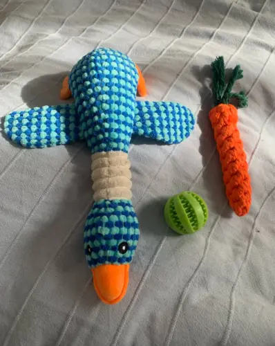Pet Toy photo review