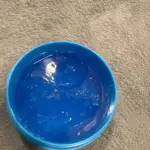 Walking Collagen Moisturizing and Whitening essence photo review