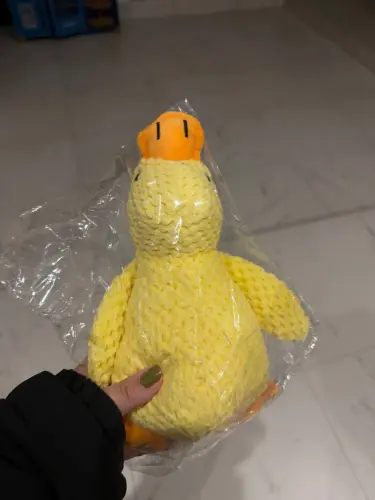 Dog Plush Toys photo review