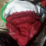 10 piece special price sexy lace and lace underwear with high elasticity, low waist, breathable, soft, flat angle triangle underwear for women photo review