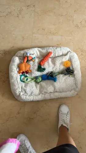 Pet Toy photo review