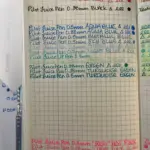 50 adorable blind box pens in a pencil case, 0.5mm black water-based ballpoint pens, non-drying, suitable for exams and studying photo review