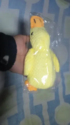 Dog Plush Toys photo review