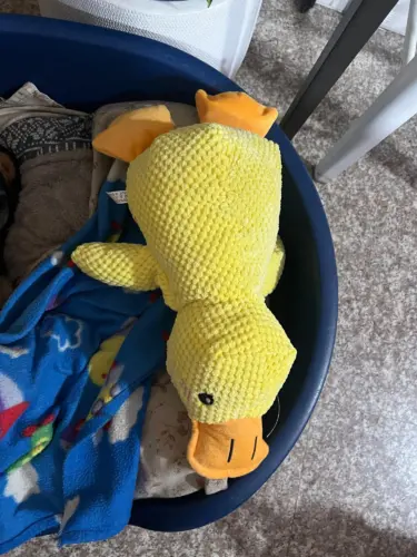 Dog Plush Toys photo review