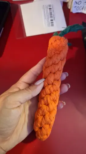 Pet Toy photo review