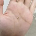 Small Purple Bottle Cross border Purple Bright White Toothpaste for Cleaning Oral Teeth, Whitening Teeth, Color Mixing and Care of Gums Bottle Press photo review