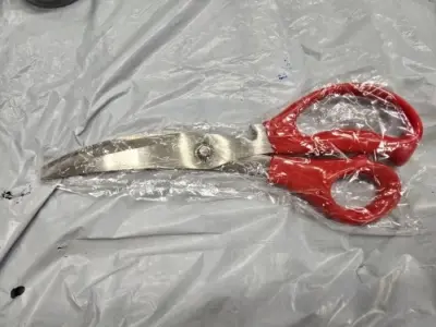 Clearance Stainless Steel Scissors for Household and Portable Office Use photo review