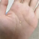 Small Purple Bottle Cross border Purple Bright White Toothpaste for Cleaning Oral Teeth, Whitening Teeth, Color Mixing and Care of Gums Bottle Press photo review