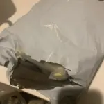 New 2025 Fashion Versatile Women's Bag with Large Capacity and High Quality, Retro Vintage Flower Handheld Tote Bag photo review