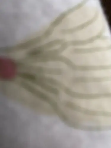 Divoom Dianyin Karaoke Bluetooth Speaker Microphone All-in-One Home Microphone for Singing, Small Home KTV photo review