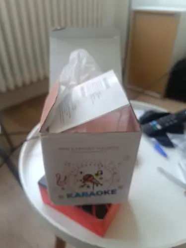 Divoom Dianyin Karaoke Bluetooth Speaker Microphone All-in-One Home Microphone for Singing, Small Home KTV photo review