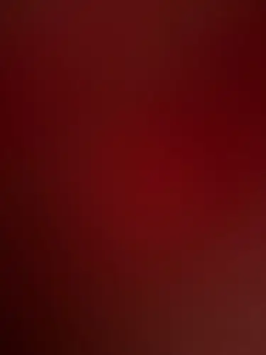 New 2025 Fashion Versatile Women's Bag with Large Capacity and High Quality, Retro Vintage Flower Handheld Tote Bag photo review